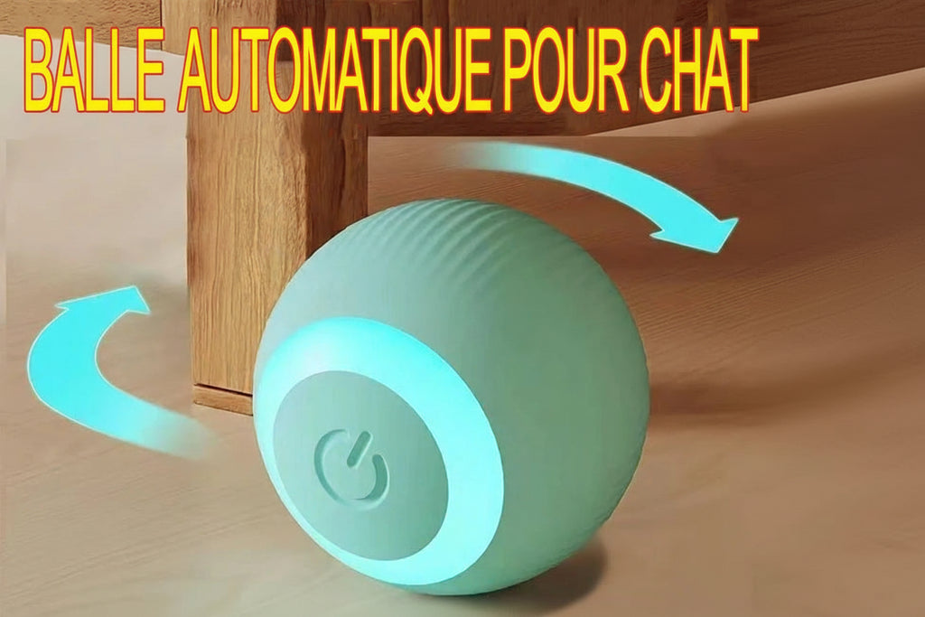 Ball roulante à gravitè